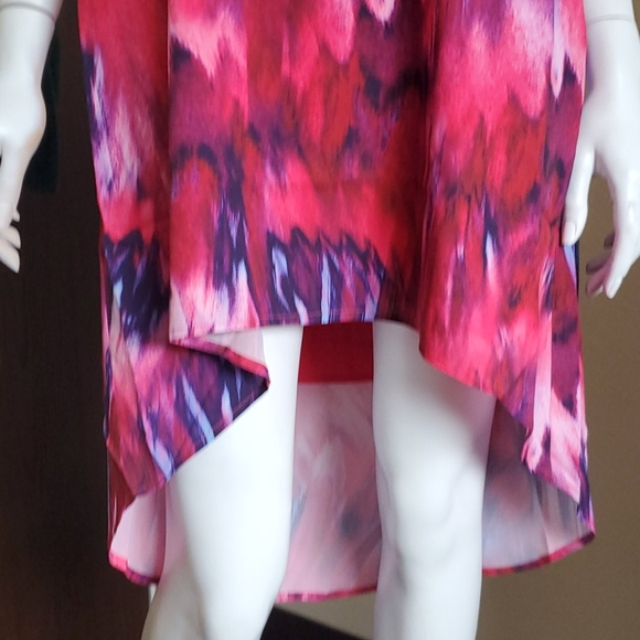 FELICITY AND COCO DRESS - Picture 3 of 4